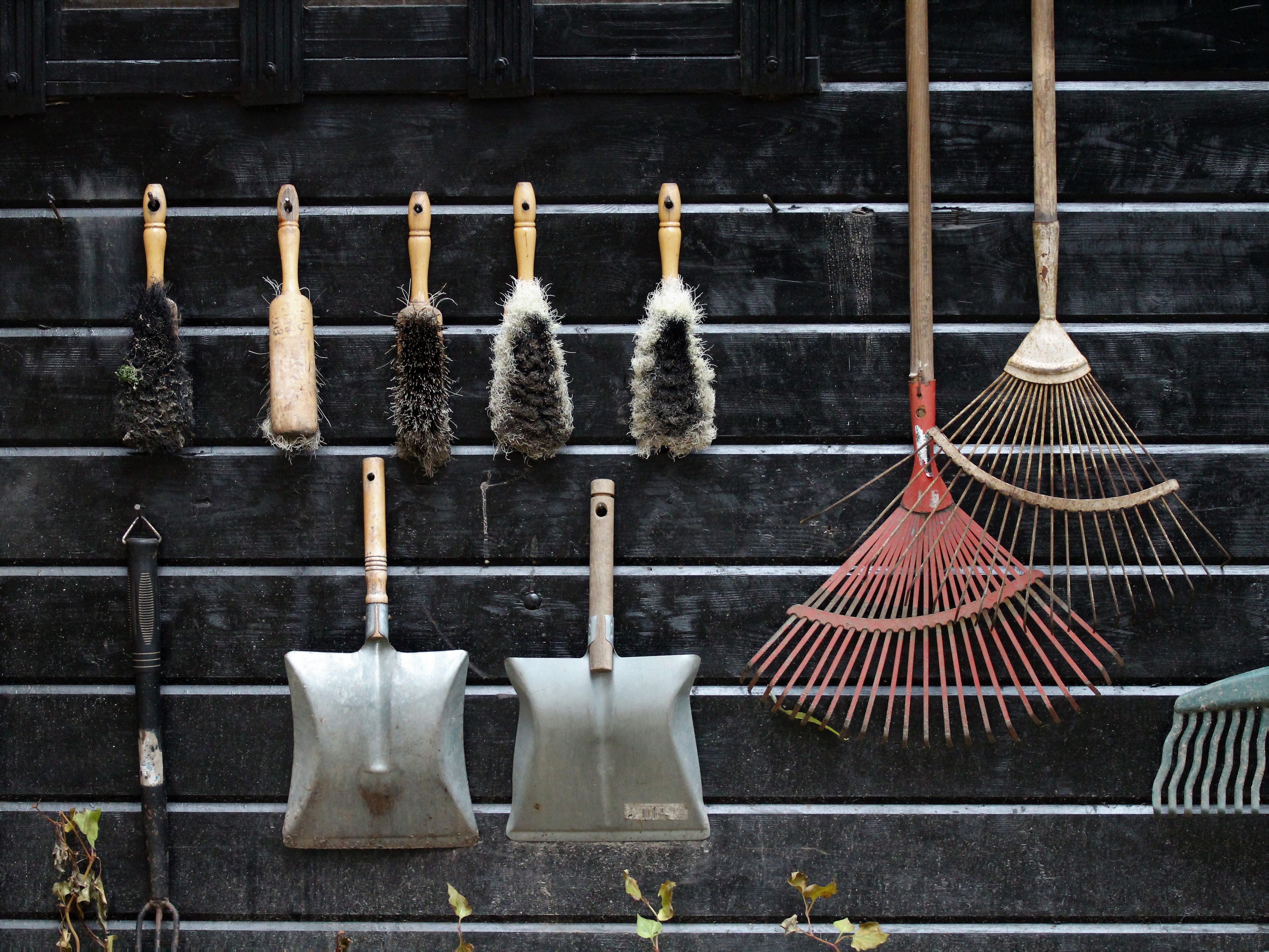 Garden Clean Ups